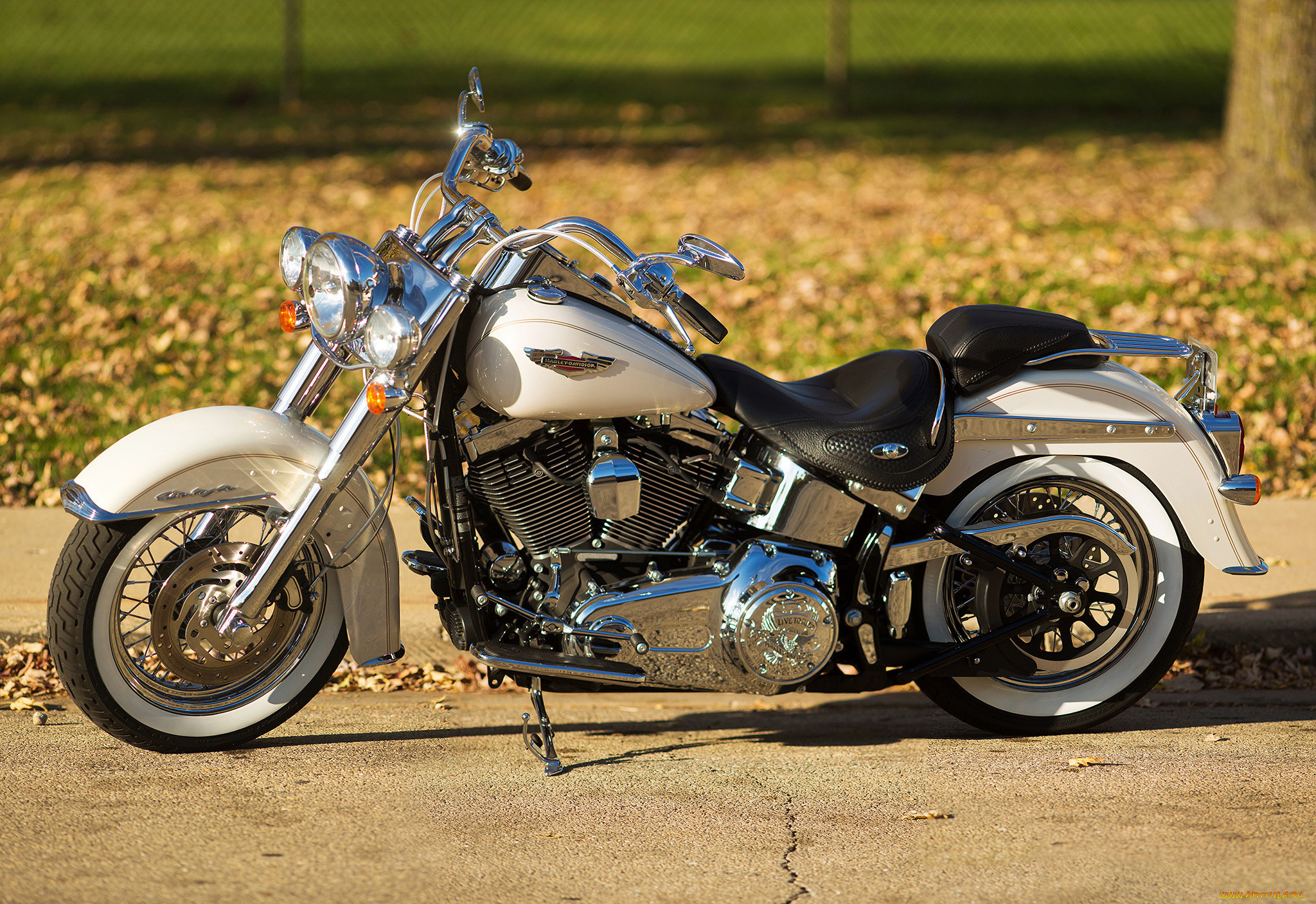 , , harley-davidson, , , 